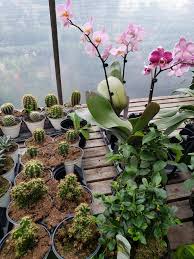 We mostly pride ourselves on our customer service and the referrals we receive from our clients. Touch Of Green Nursery Home Facebook