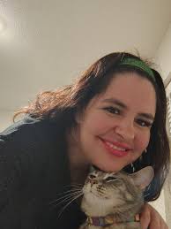 Lost Cat Stormy in Douglass Crossing Neighborhood of Mishawaka