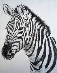 Zebra Sketch Stippling Art Zebra Drawing Zebra Art