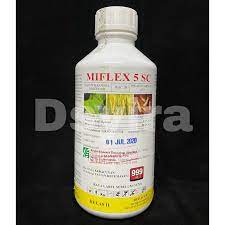 Rawatan anai anai menggunakan kaedah drilling ajpest pestcontrol termite. Racun Anai Anai Miflex 5 Sc Fipronil Racun Serangga Insecticide Shopee Malaysia