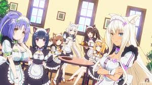 La Campana De Recaudacion De La Ova De Nekopara Alcanza Su Meta Final En Tiempo Extra