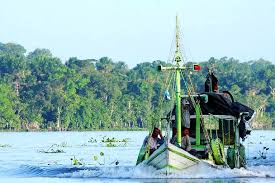Maybe you would like to learn more about one of these? Melgaco Pa Amazonia Acontece