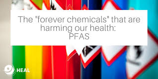 The perfluorinated class of pfas comprise perfluoroalkyl acids (pfaas) which are generally the most basic form of pfas , are essentially nondegradable, and are currently. Health And Environment Alliance The Forever Chemicals That Are Harming Our Health Pfas