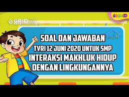 Menjawab benar dan kurang lengkap 2. Soal Dan Jawaban Interaksi Makhluk Hidup Dengan Lingkungan Belajar Dari Rumah Tvri 12 Juni 2020 Kids