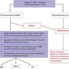 Global Strategy Of Intervention In Stable Coronary Artery Disease Download Scientific Diagram