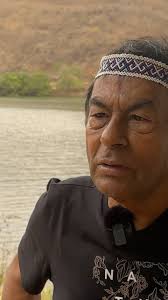 Projeto Preserva (@oprojetopreserva) · Instagram 照片和视频