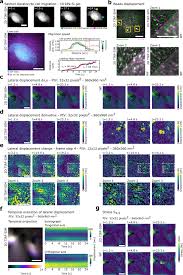 We did not find results for: Two Dimensional Tirf Sim Traction Force Microscopy 2d Tirf Sim Tfm Nature Communications