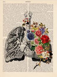 Anatomy Print Medical Poster Vintage Illustration Print Etsy In 2020 Book Art Medical Posters Lungs Art