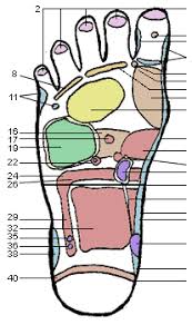 Health Reflexology