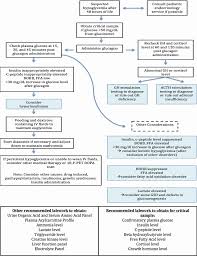 Approach To Hypoglycemia In Infants And Children Gandhi Translational Pediatrics