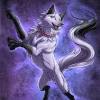 The most common anime white wolf material is plastic. Https Encrypted Tbn0 Gstatic Com Images Q Tbn And9gcrdjiepcf08xhtqqc Vosuwiuk71f1cbx8vzwkxo3ws4qayyvv5 Usqp Cau