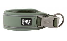 Warriors of grün is not a request to fight. Hurtta Weekend Warrior Eco Halsband Grun