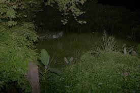 You can see her house Terror Tour 5 Haunted Houses Across Klang Valley Propsocial