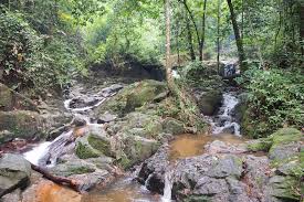 Sg tua recreational area is a great place for a picnic and a dip is a to cool river. Tripify Sungai Tekala Recreation Forest Semenyih