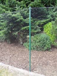 Tierheimhilfe Korschenbroich Bauanleitung Katzennetz Garten Katzennetz Katzen Tiere