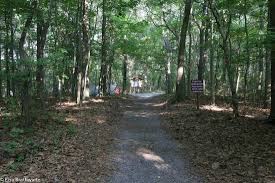 Other places to visit near target rock national wildlife refuge ensure you put aside time in your itinerary to go experience some of the other things that are happening in the region of target rock national wildlife refuge: Woods Picture Of Target Rock National Wildlife Refuge Huntington Tripadvisor