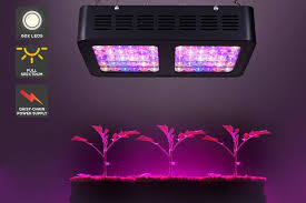 We did not find results for: 10 Best Grow Lights For Tropical Plants Guide 2021
