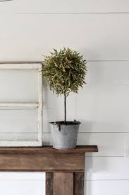 Maybe you would like to learn more about one of these? Faux Diy Topiary Tree Rocky Hedge Farm
