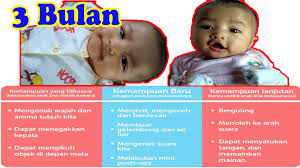 Perkembangan Bayi 3 Bulan Secara Normal Bayi Pengikut Anak