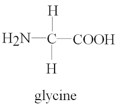 Image result for Glycine