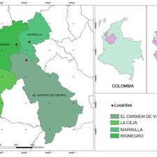 Image result for Whitfieldia thollonii