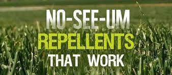 No See Um Repellents That Work Mosquitofixes