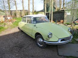 Image result for Jaune Lacerta 2011 Citroen