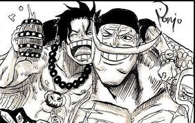 mangas animes おしゃれまとめの人気アイデア pinterest sugo company 白ひげ海賊団 白ひげ ワンピース 漫画