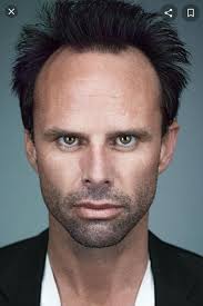 What is your fantastic for Randall Pierce A.k.a Iron Man? Personally I'd go  with Walton Goggins : r/ironman