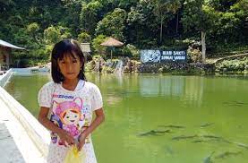 Hal itu dilakukannya agar tidak ada yang berani mencurinya. Legenda Ikan Sakti Sungai Janiah Jalan Jalan Terus