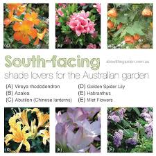 Free shipping on qualified orders. Gardening On The South Side In Australia About The Garden Magazine