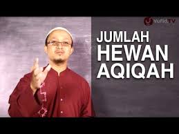 Hewan yang disembelih berupa kambing, domba. 4 Syarat Kambing Aqiqah Yang Harus Dipenuhi Singkat Padat
