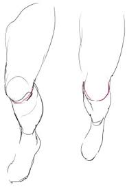 Drawing anatomy for beginners, learning the ins and outs. 170 Anatomy Lower Body Ideas In 2021 Anatomy Anatomy Drawing Anatomy Reference