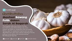 We did not find results for: Manfaat Bawang Putih Termaktub Dalam Rusuak Sasak Biyai Facebook