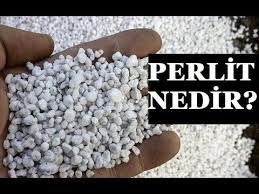 Tarim Perliti Nedir Perlit Nerelerde Kullanilir Youtube Saksi Bitkileri Tarim Saksi Bahceciligi