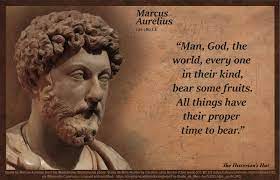 Marcus Aurelius Quotes Live A Good Life Funny Inspirational Quotes