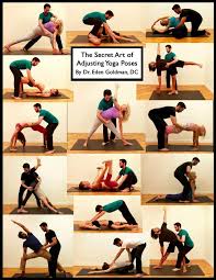 Hatha Yoga Asanas Beginners Yoga Poses For Beginners Step By Step Thai Yoga Massage Hatha Yoga Poses Basic Yoga