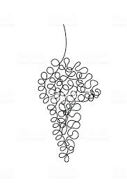 Hand Drawing Of A Bunch Of Grapes Continuous Line Illustration Grape Drawing Line Illustration Grape Bunch