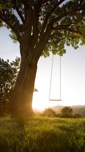 Download the vanished yify movies torrent: Swing Wallpaper For Android Phone Vanished True Stories Of The Missing By Marc Tyler 1257126 Hd Wallpaper Backgrounds Download