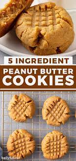 Quick And Easy Peanut Butter Cookies Made With Only 5 Pantry Ingredients And In 2021 Easy Peanut Butter Cookies Peanut Butter Cookie Recipe Soft Peanut Butter Recipes