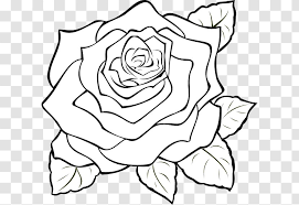 Tribal leader says, good, and a hundred tribesmen line up and give him the bunga. Black Rose White Clip Art Line Tribal Bunga Mawar Transparent Png