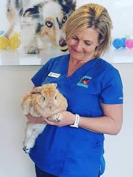 Coronavirus Northern Beaches Animal Shelter Sold Out Of Cats Up For Adoption As People Isolate Daily Telegraph