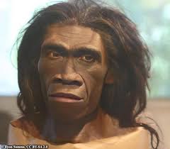 Homo erectus early human ancestor characteristics