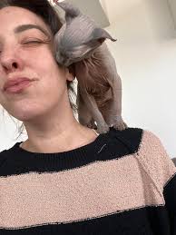 6 months of unconditional love 🤍 Seal point ~ ukrainian levkoy