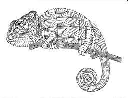 Select from 35970 printable crafts of cartoons, nature, animals, bible and many more. Pin On Chamaleons