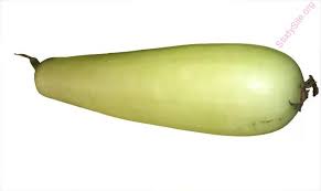 English To Nepali Dictionary Meaning Of Gourd In Nepali Is ल क क भ न ड