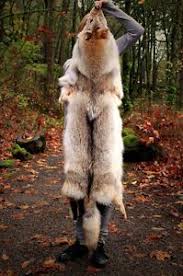 Taxidermy Wolf Skin Headdress Cloak Cosplay Pegan Cloak Mens Fur Coat Coyote Fur