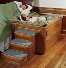Cama De Casal Com Casinha De Cachorro Hahahaha Raised Dog Beds Elevated Dog Bed Dog Stairs For Bed