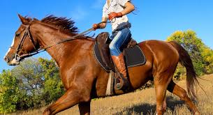 See horse side view stock video clips. Four Common Hand Problems And How To Fix Them