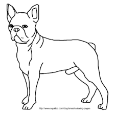 Here you can explore hq scottish terrier transparent illustrations, icons and clipart with filter setting like size, type, color etc. Dog Breed Coloring Pages Hubpages